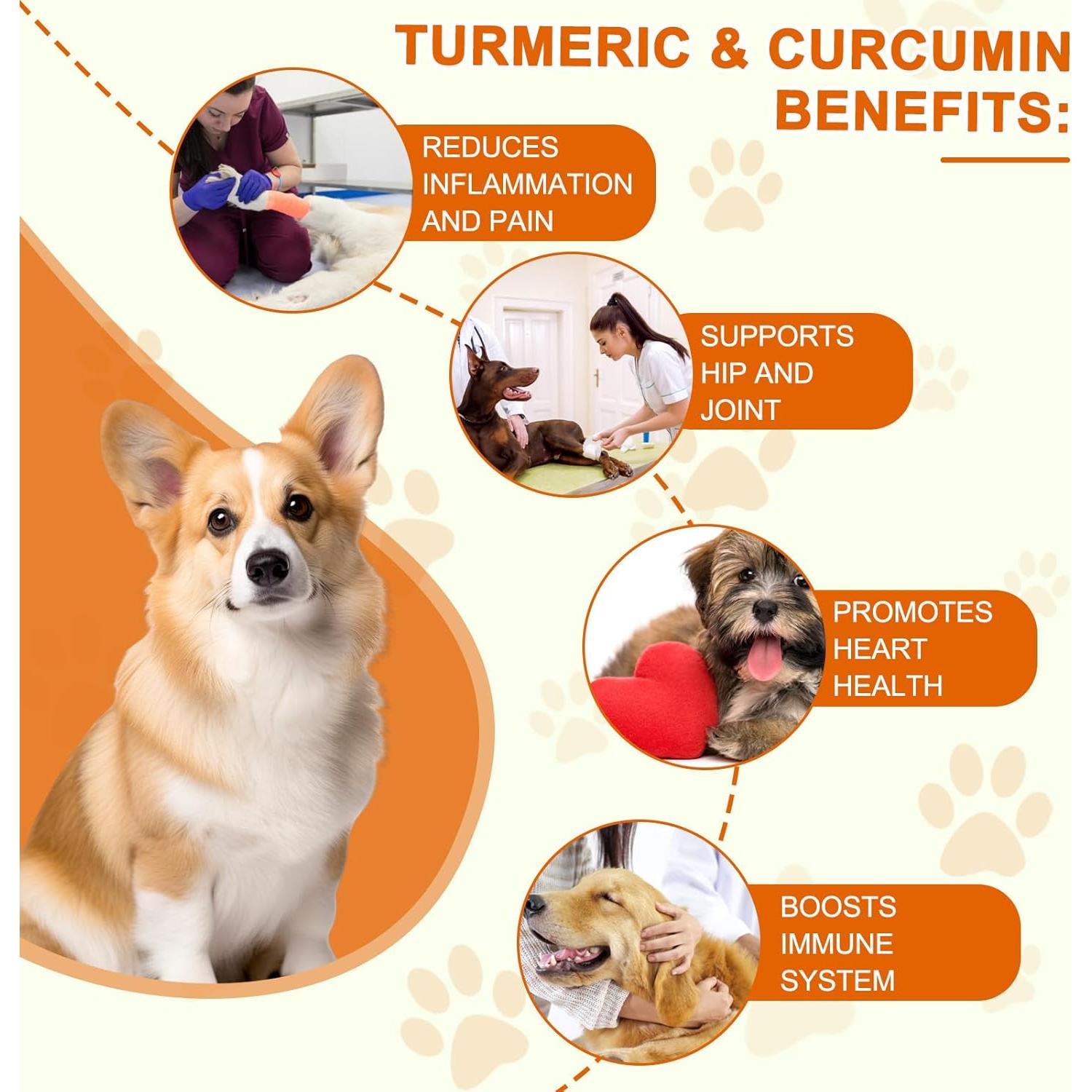 Suplemento Masticable de Cúrcuma para Perros Jinqi 180 Tabletas