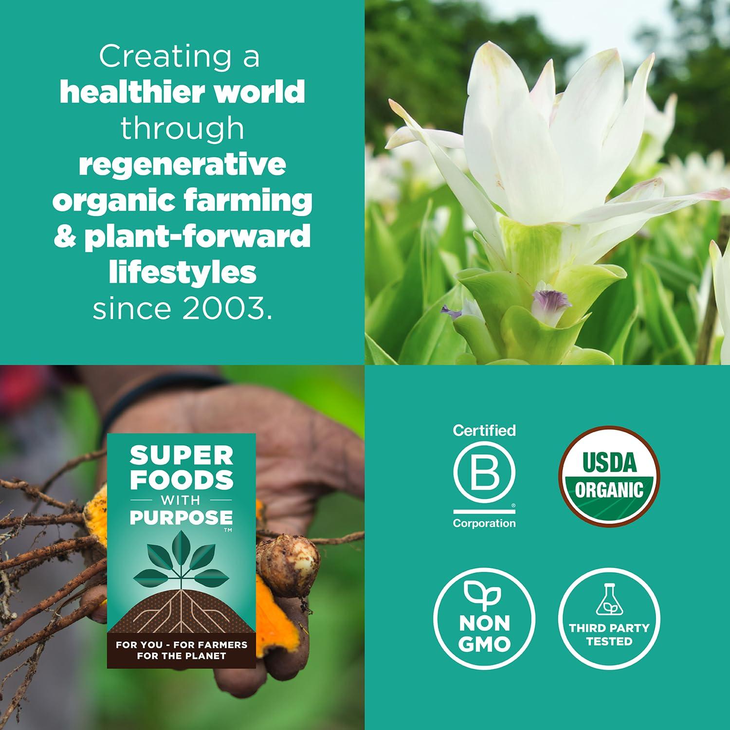 Polvo de Cúrcuma Orgánica Navitas 227g - Antiinflamatorio Natural