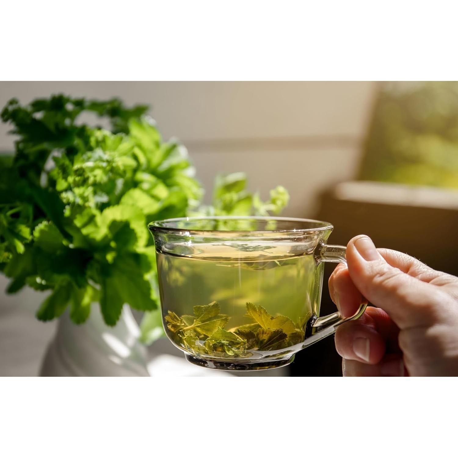 Té de Calavera 28g - Hierba de Calavera Secada - Solo Therapy