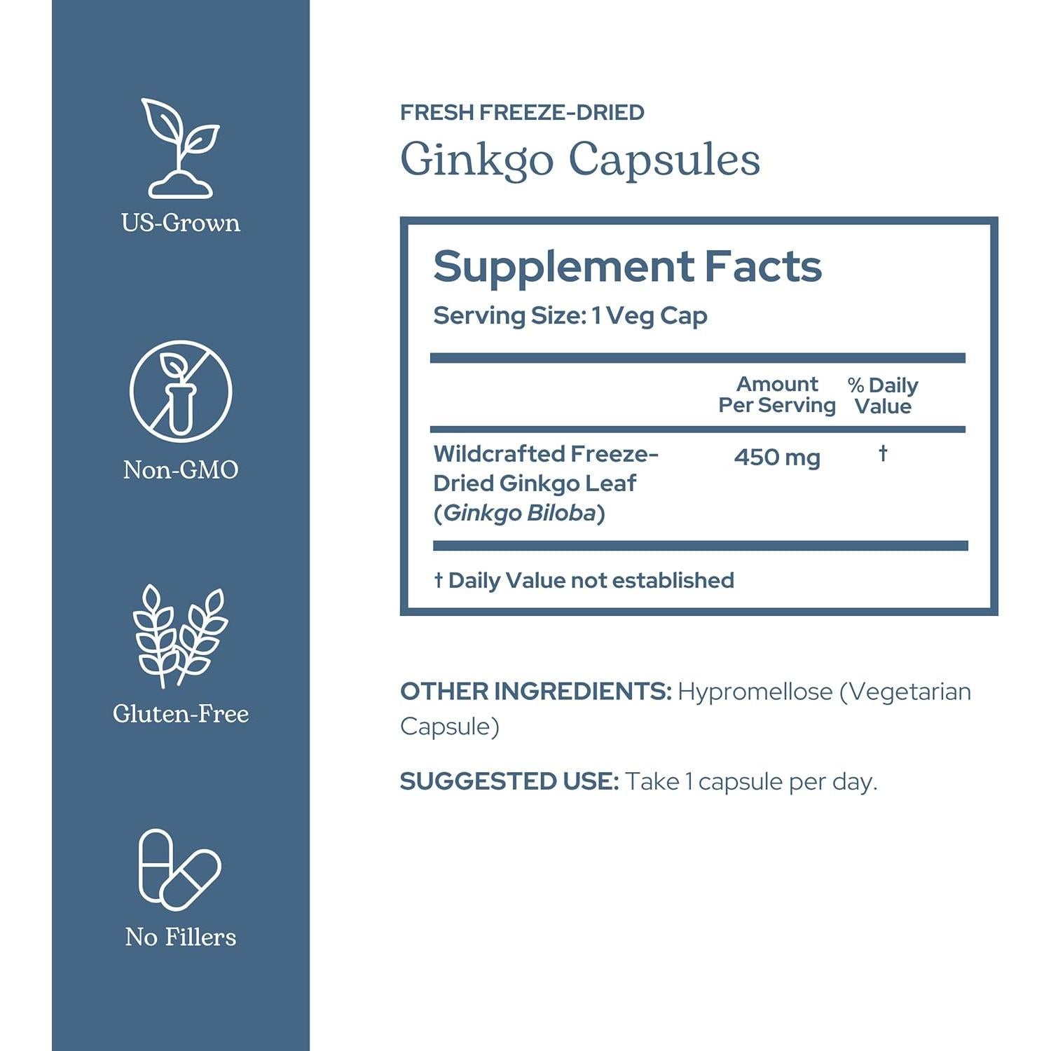 Ginkgo Crudo Liofilizado Instituto Ecléctico 120 CT - Memoria y Circulación
