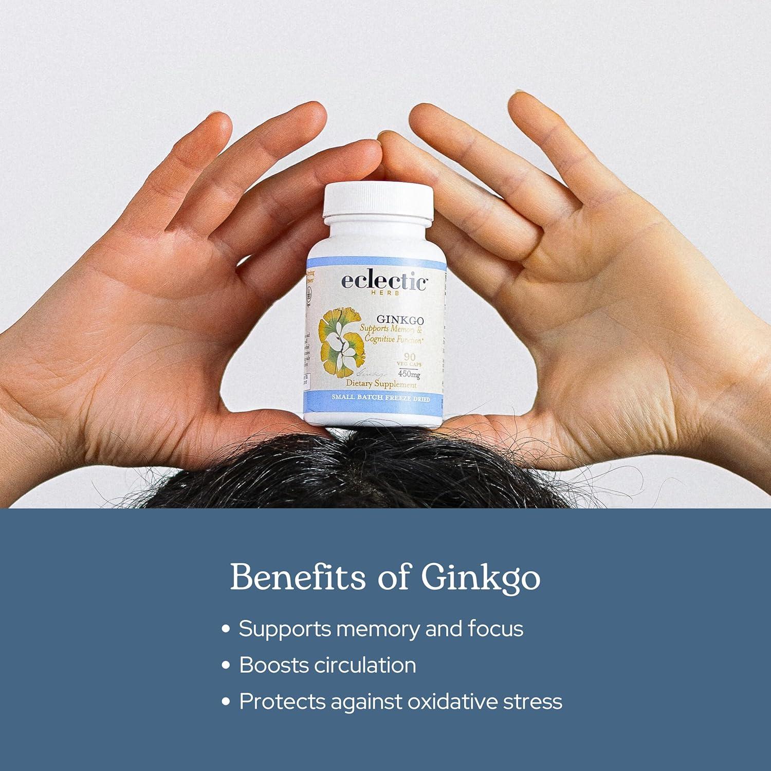 Ginkgo Crudo Liofilizado Instituto Ecléctico 120 CT - Memoria y Circulación