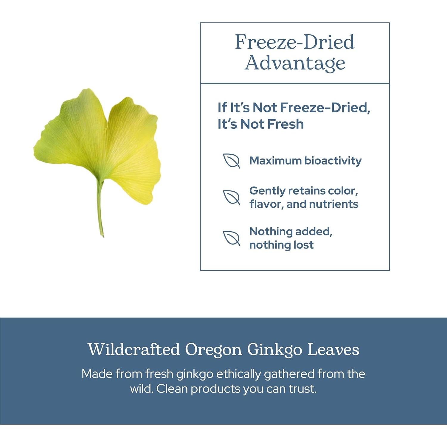 Ginkgo Crudo Liofilizado Instituto Ecléctico 120 CT - Memoria y Circulación