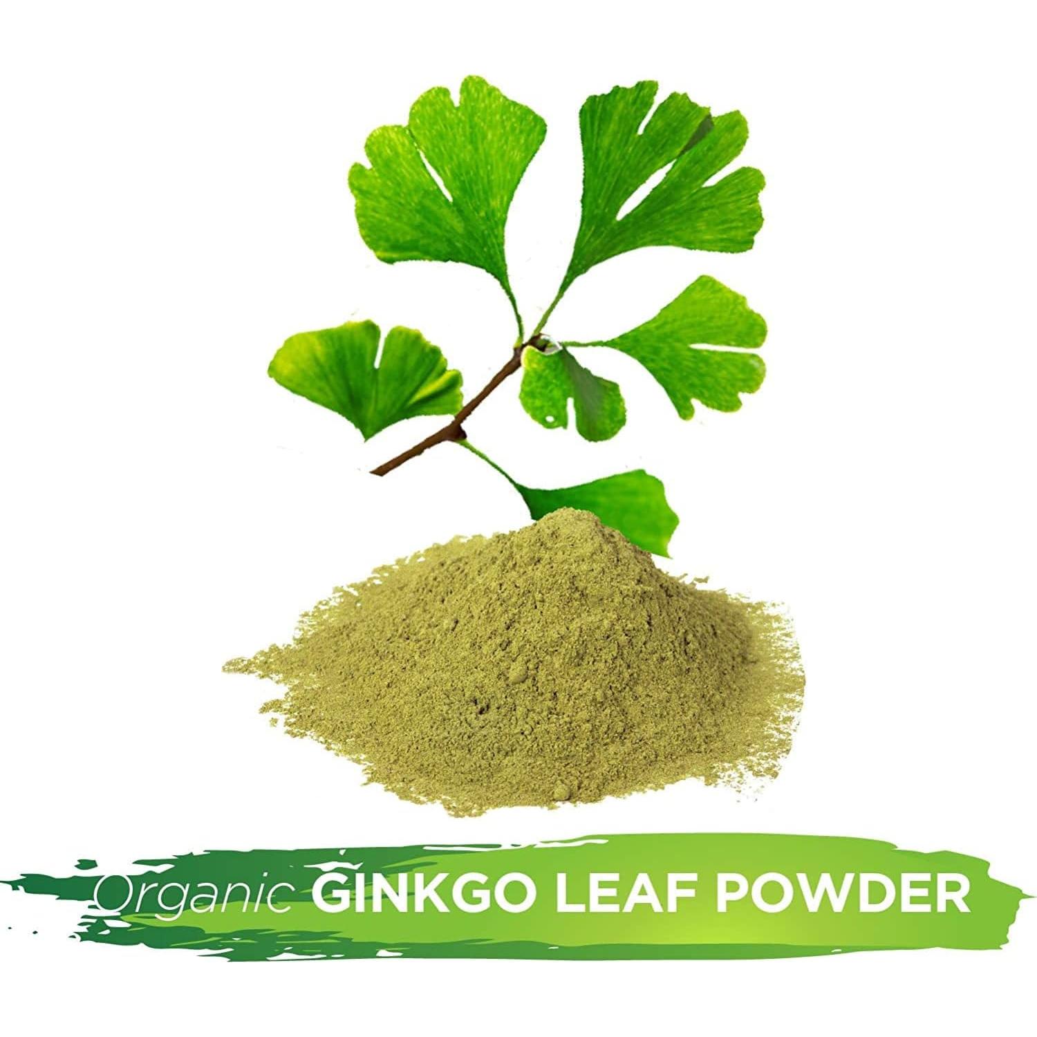 Polvo de Hoja de Ginkgo Biloba 453g La Tienda de Hierbas