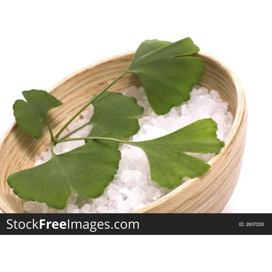 Polvo de Hoja de Ginkgo Biloba 453g La Tienda de Hierbas