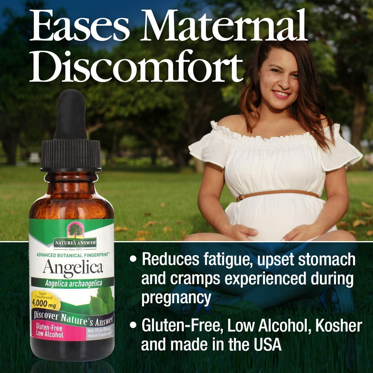 Raíz de Angélica Orgánica Nature's Answer 30 ml - Salud Femenina