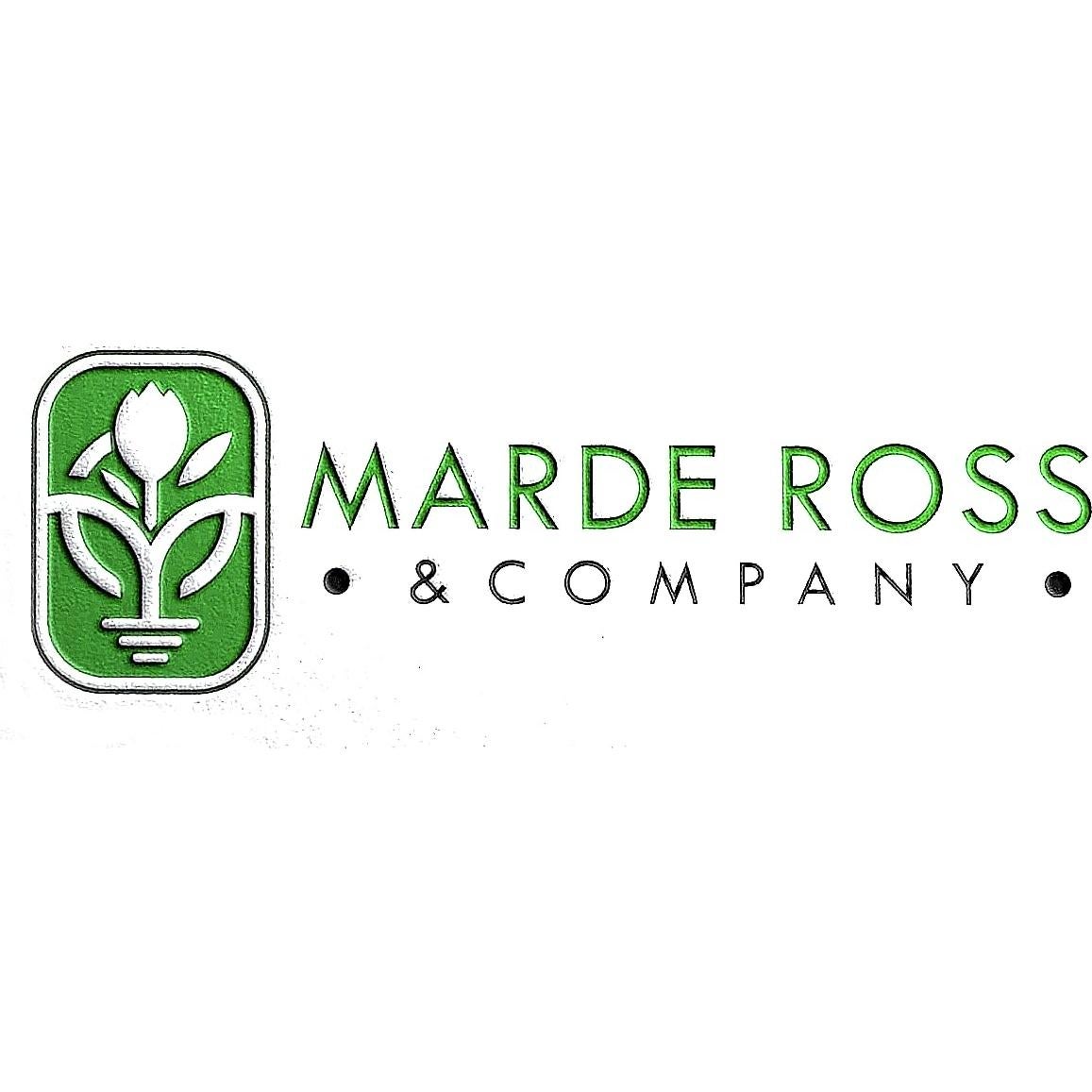 Bulbos de Peonía Doble Blanca Duchess De Nemours - Raíz Desnuda 3-5 Ojos