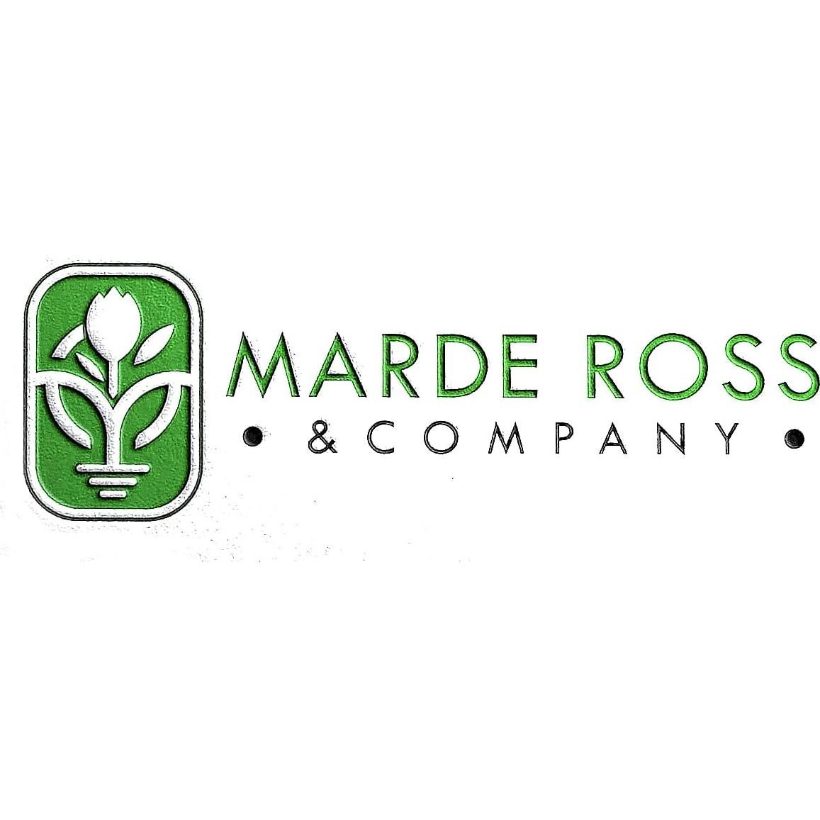 Peonía Doble Roja Temprana Marde Ross 1 Galón - Planta Viva