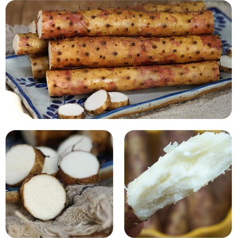 Rodajas de Ñame Chino Seco Shan Yao 200g - Ideal para Sopas