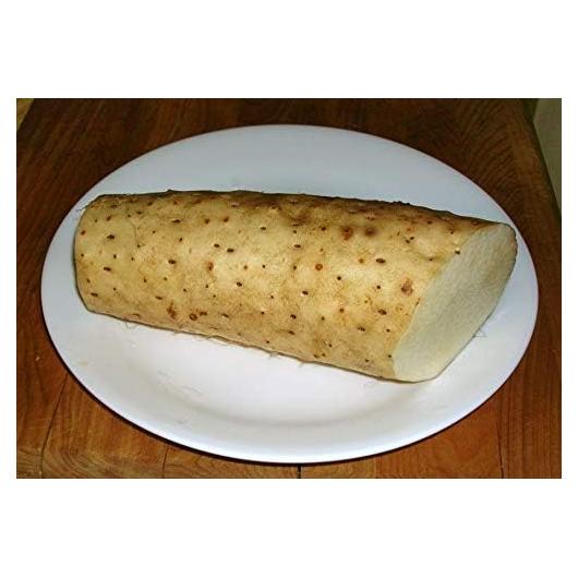 Extracto de Ñame Chino 5:1 - 5 Gramos - Stone Creek Health