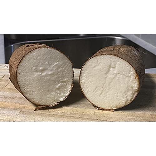 Ñame Africano Fresco 4.54 kg - Tubérculo de Ghana