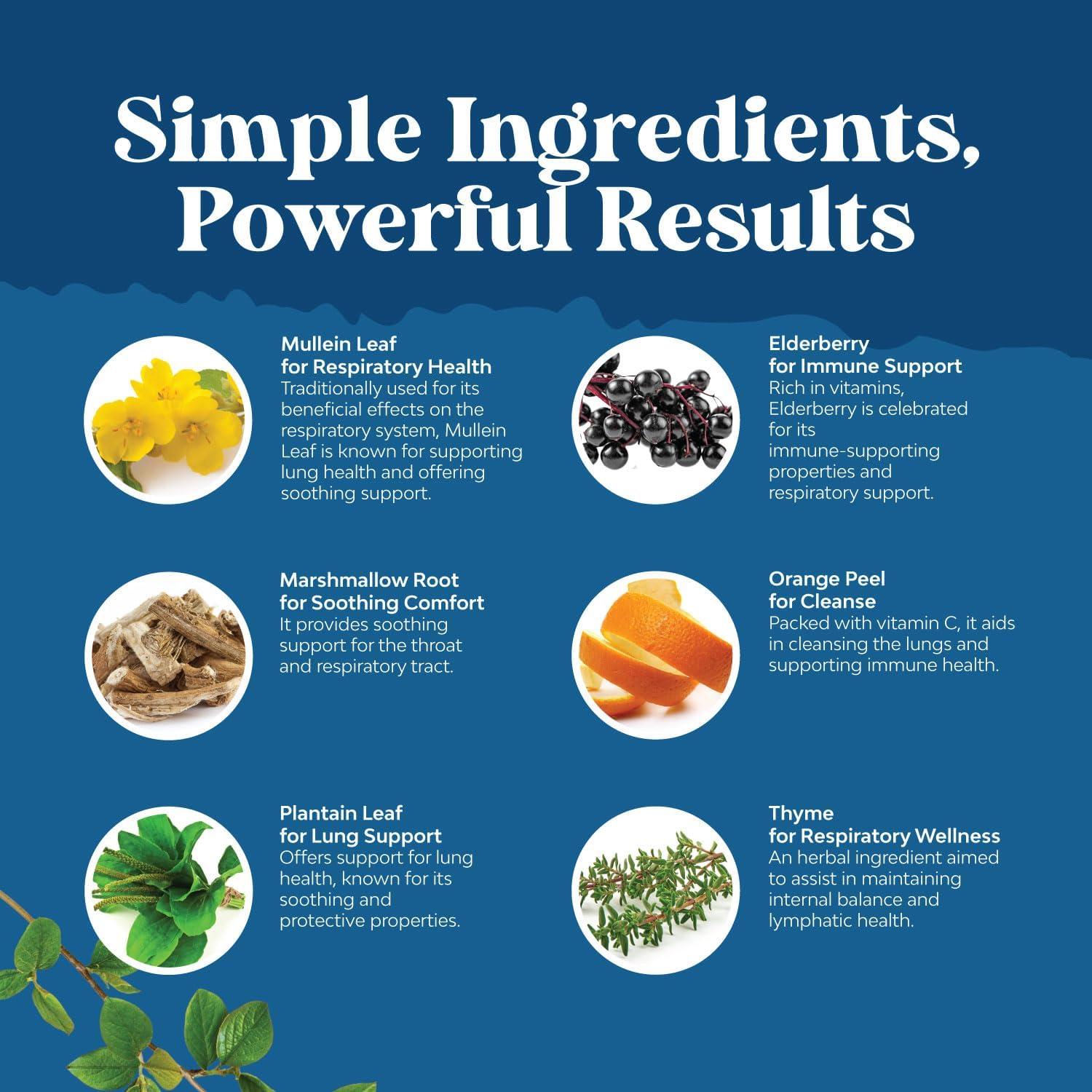 Gotas de Mullein Orgánico USDA 120ml - Desintoxicación Pulmonar