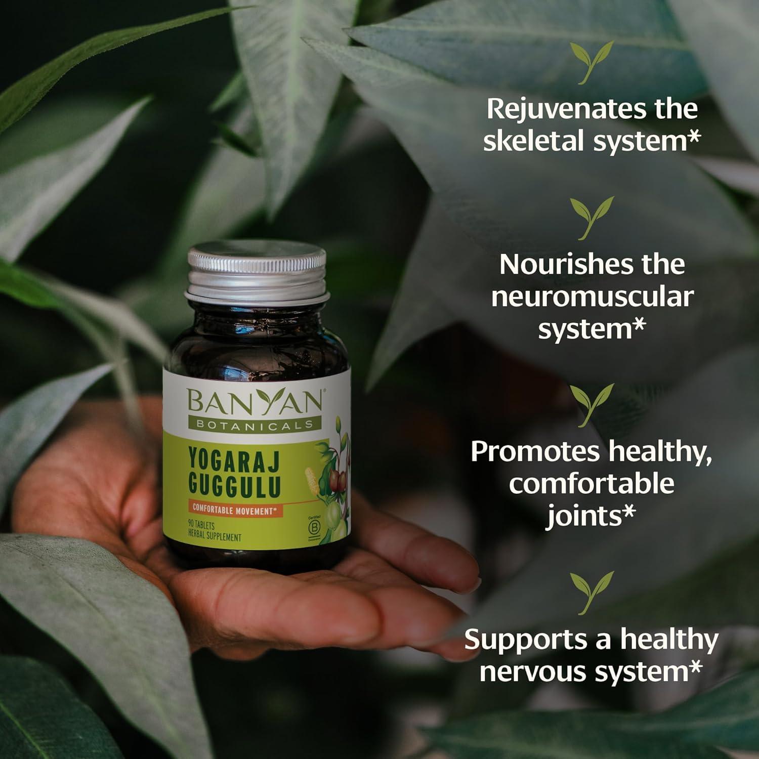Suplemento Orgánico Banyan Botanicals Yogaraj Guggulu 90 Tabletas