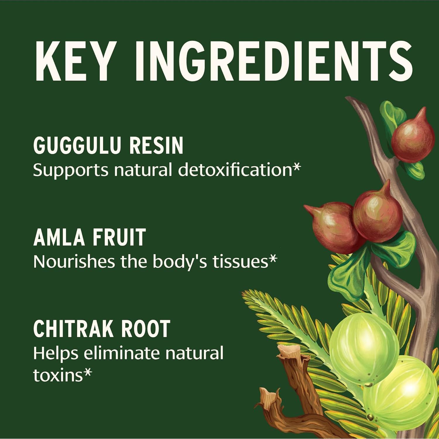 Suplemento Orgánico Banyan Botanicals Yogaraj Guggulu 90 Tabletas