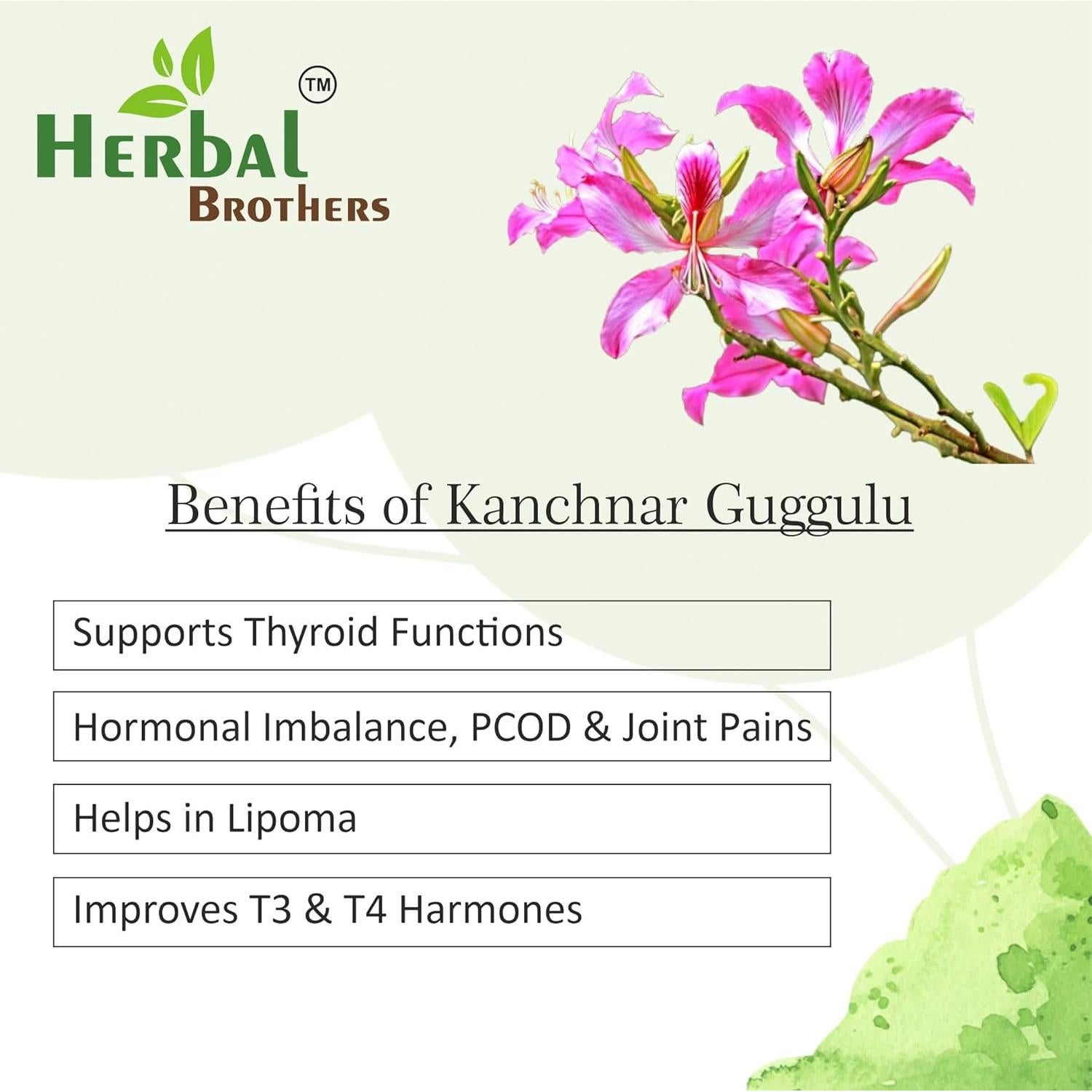 Tabletas Ayurvédicas Kanchnar Guggulu 450 mg 120 Unidades