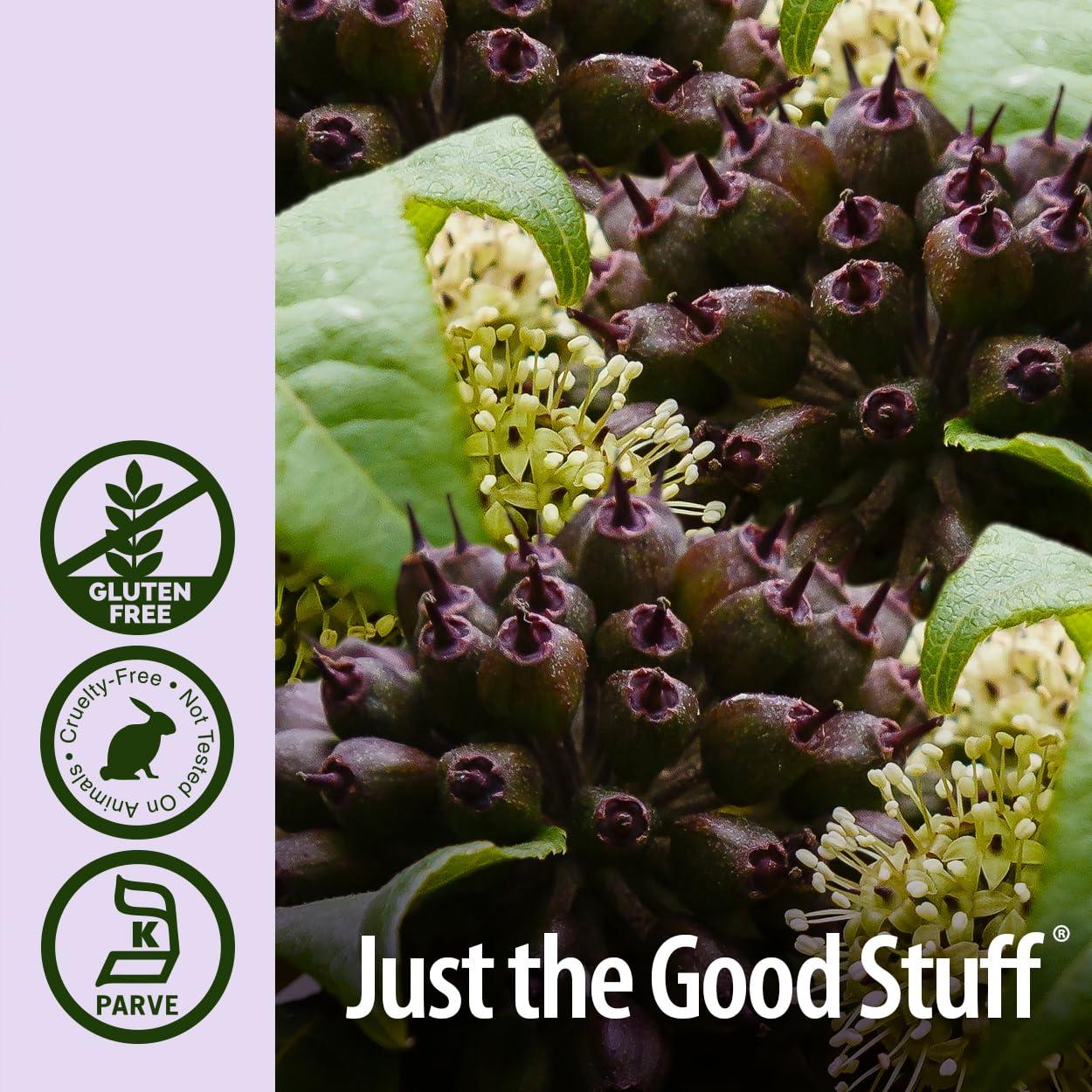 Extracto de Raíz de Eleuthero Nature's Answer 2000mg 60ml