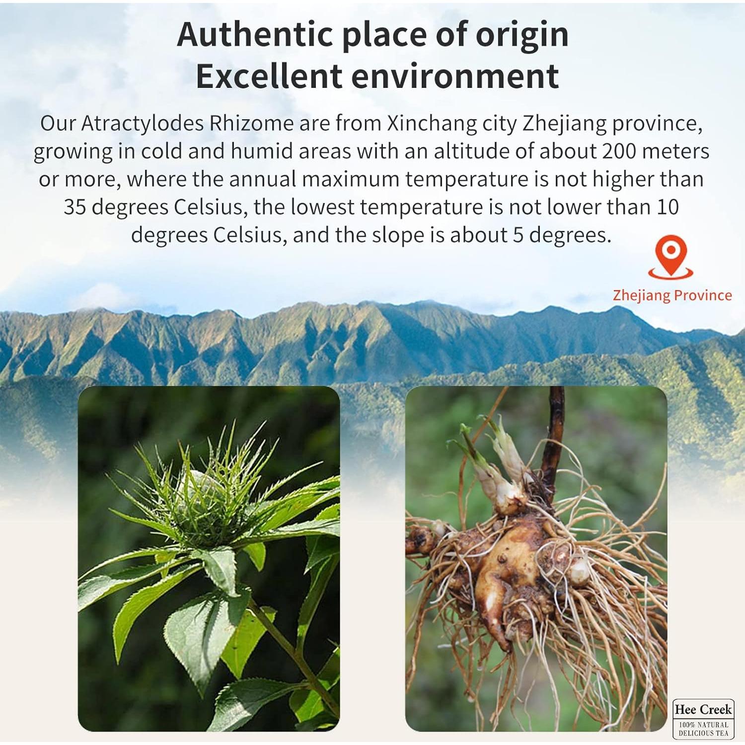 Atractylodes Bai Zhu Hee Creek 300g Rodajas Grandes Sin Azufre