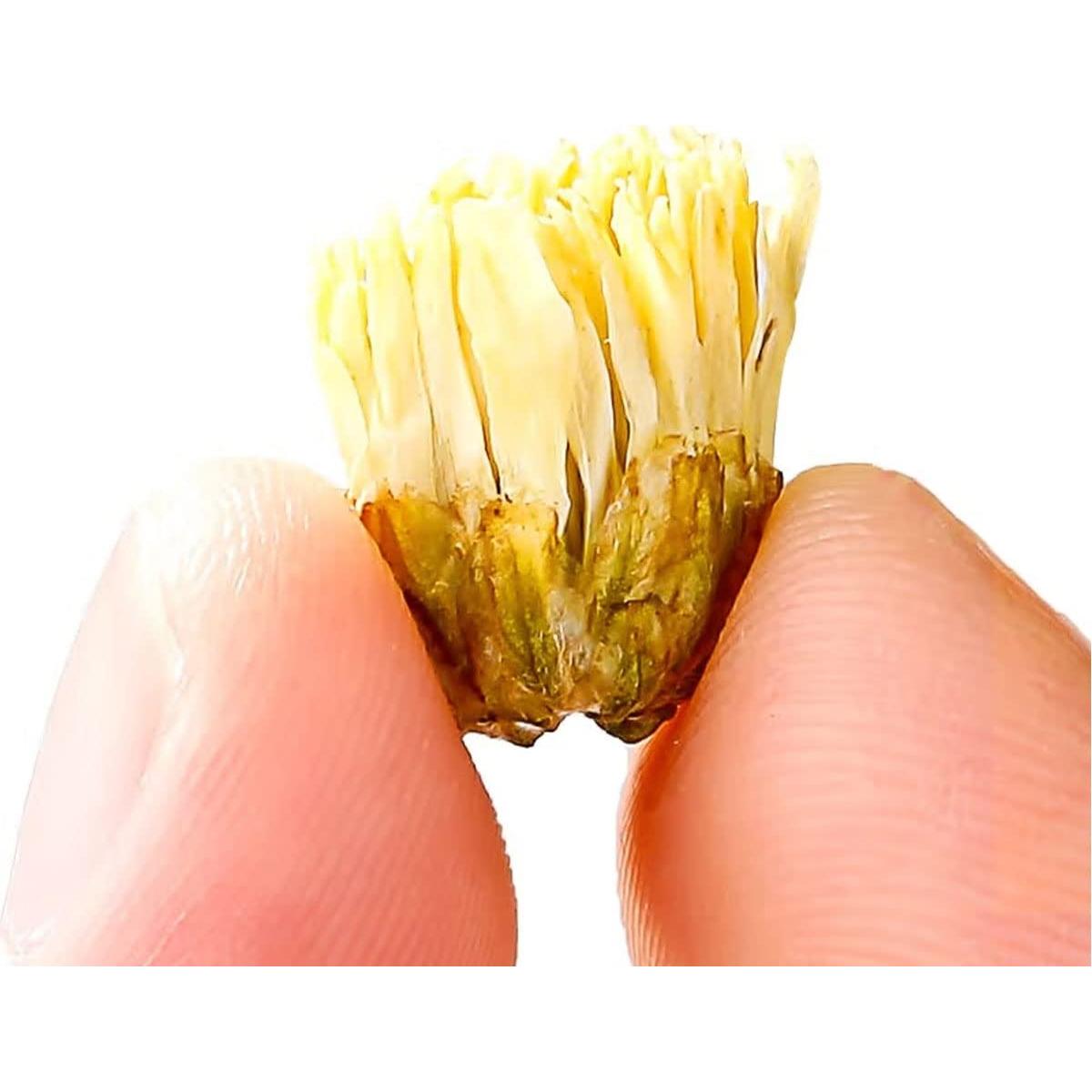 Té de Flores de Crisantemo 150g Yunnan Jiarui - Té Suelto