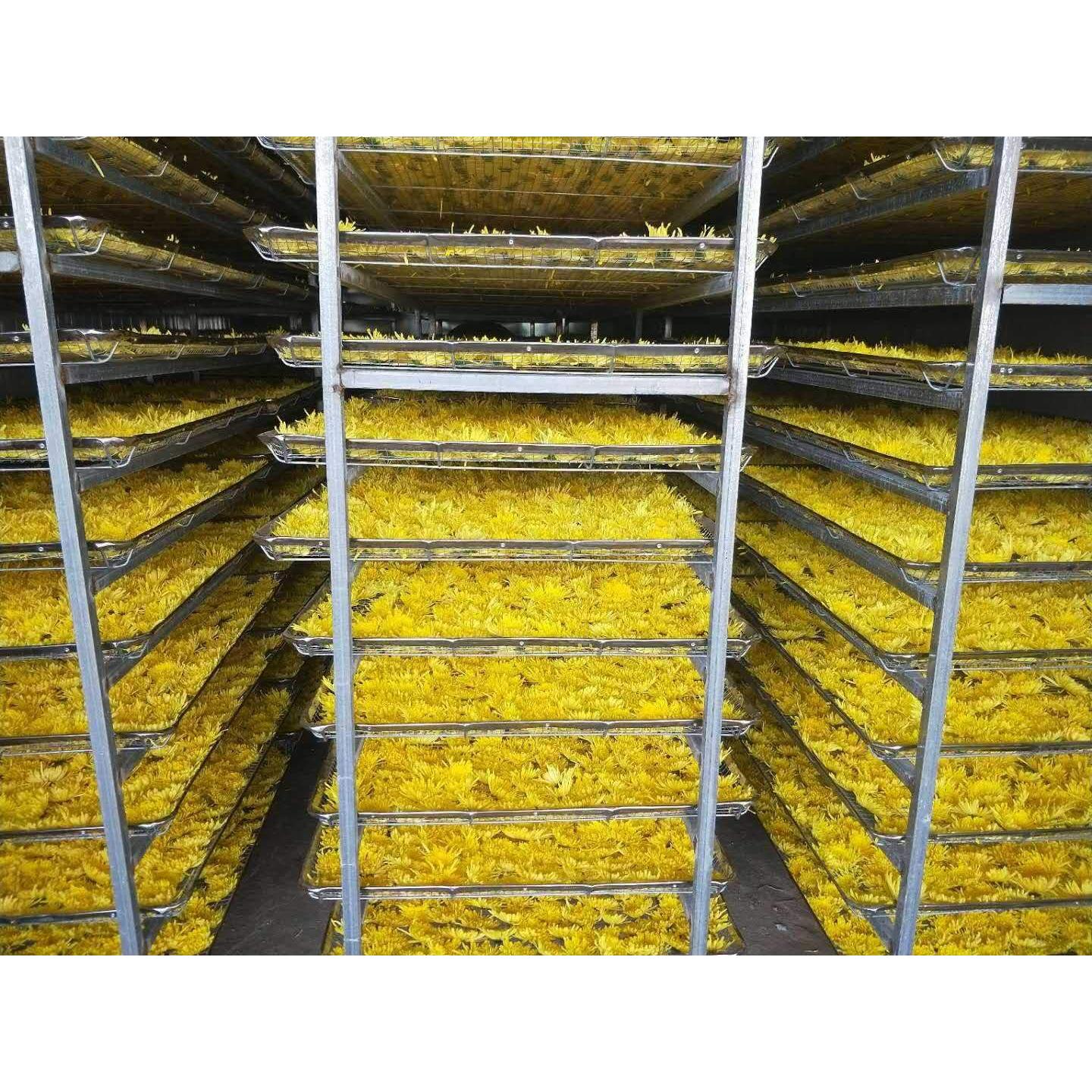 Té de Flor de Crisantemo Fetal Dorado-Amarillo Premium 56.7g