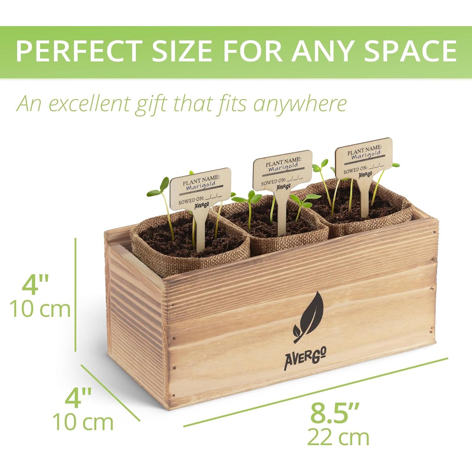 Kit de Crecimiento de Flores AVERGO - Girasol, Caléndula y Zinnia