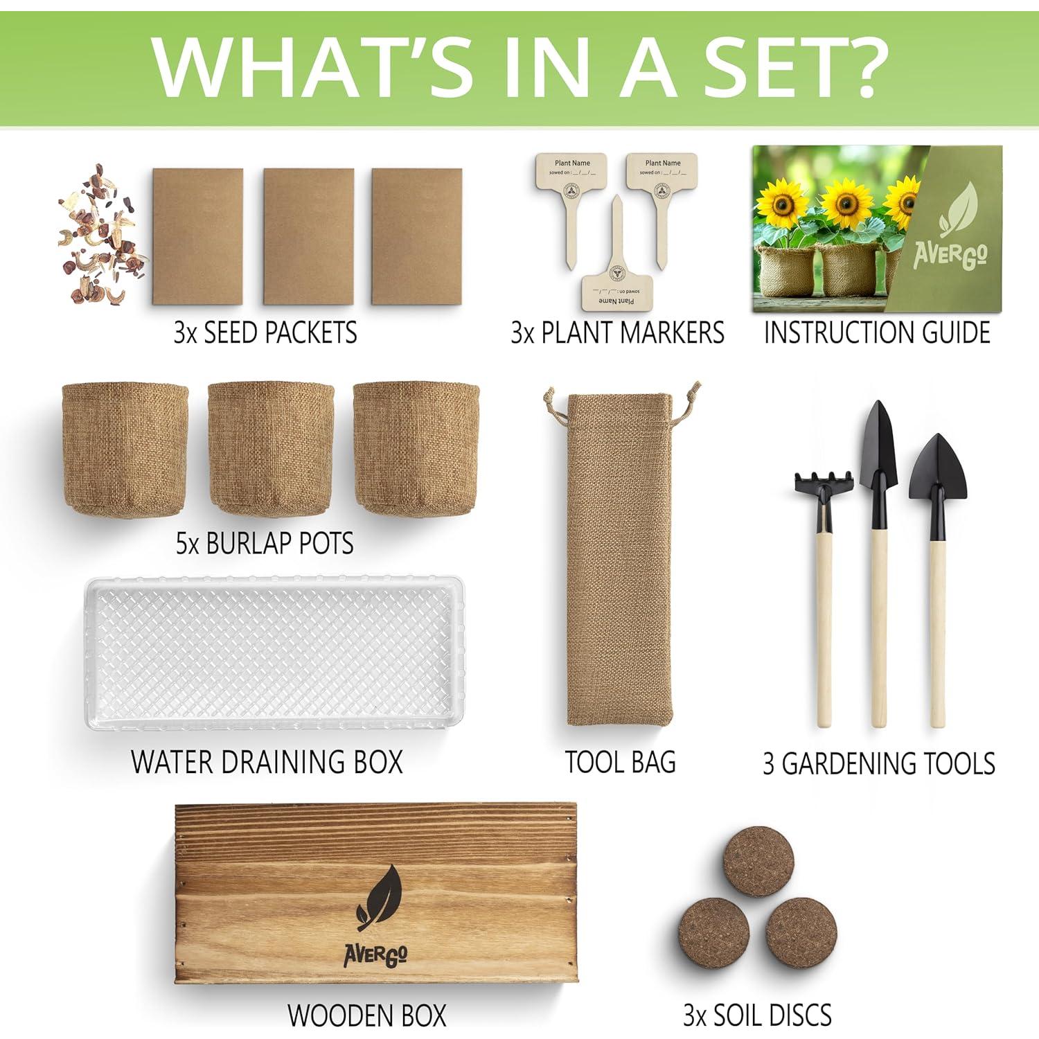 Kit de Crecimiento de Flores AVERGO - Girasol, Caléndula y Zinnia