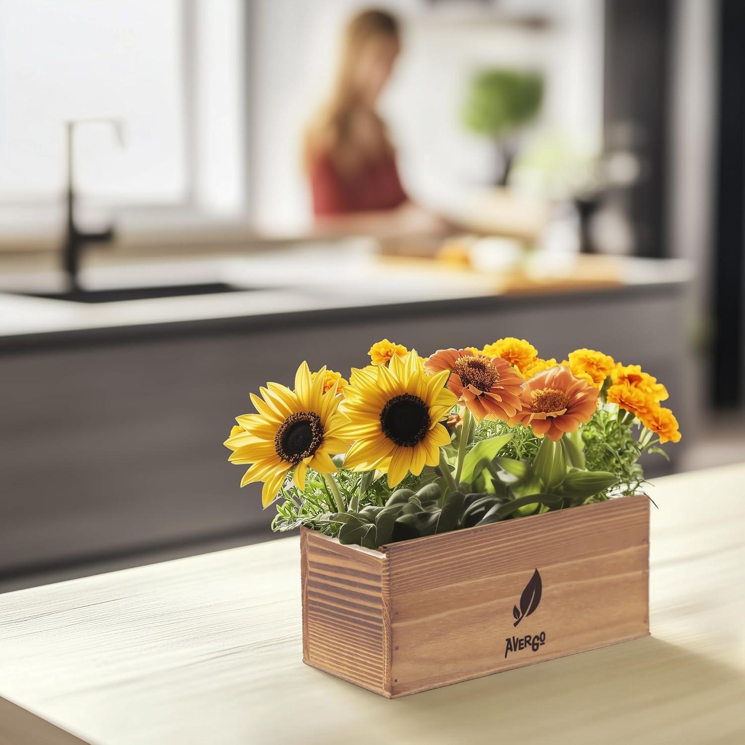 Kit de Crecimiento de Flores AVERGO - Girasol, Caléndula y Zinnia