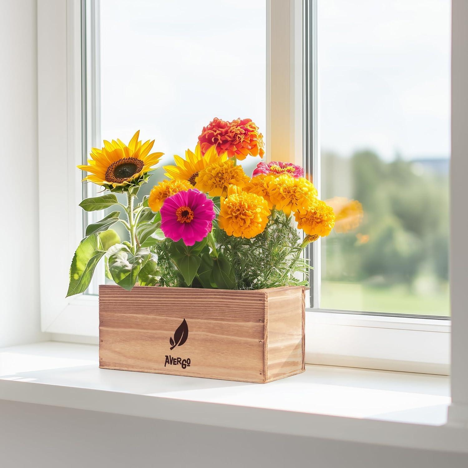 Kit de Crecimiento de Flores AVERGO - Girasol, Caléndula y Zinnia