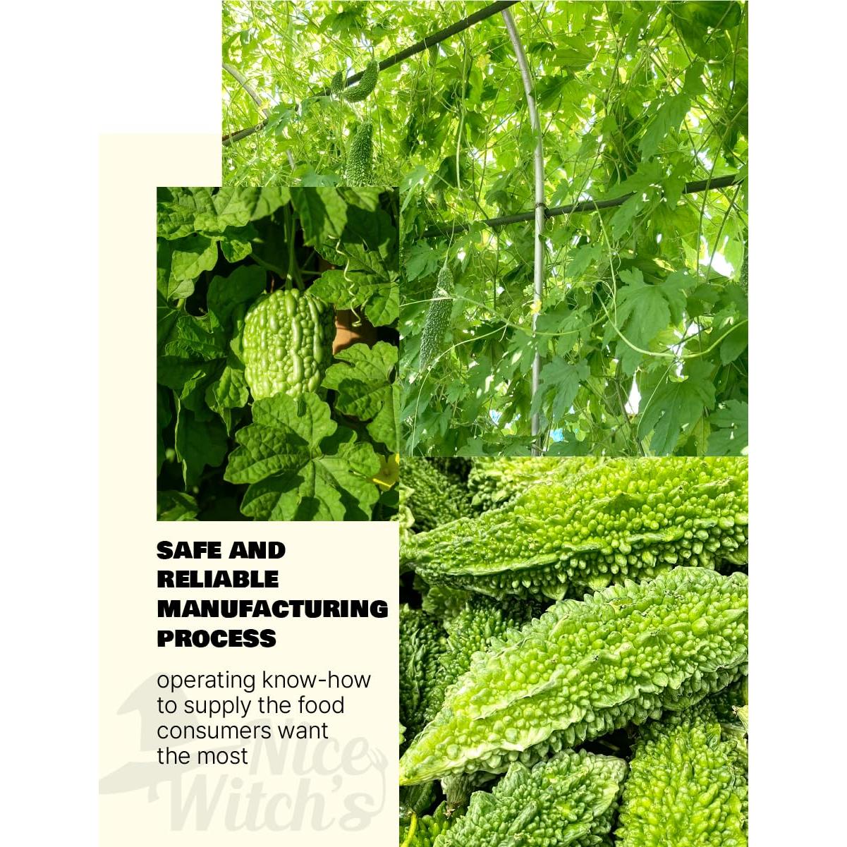 Té Herbal 100% Melón Amargo BRUJA BONITA 113g - Sin Aditivos