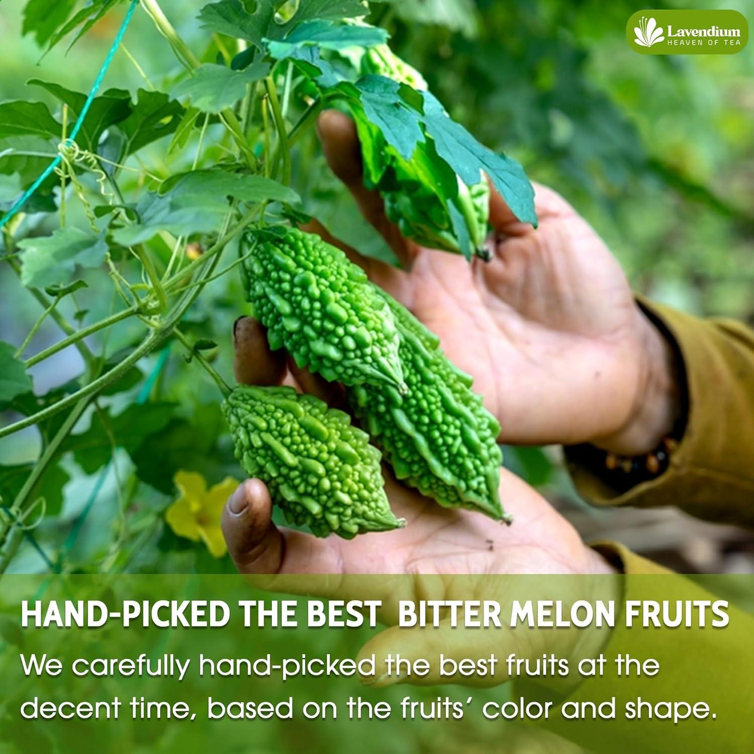 Té de Melón Amargo Lavendium - 60 Bolsitas 100% Natural