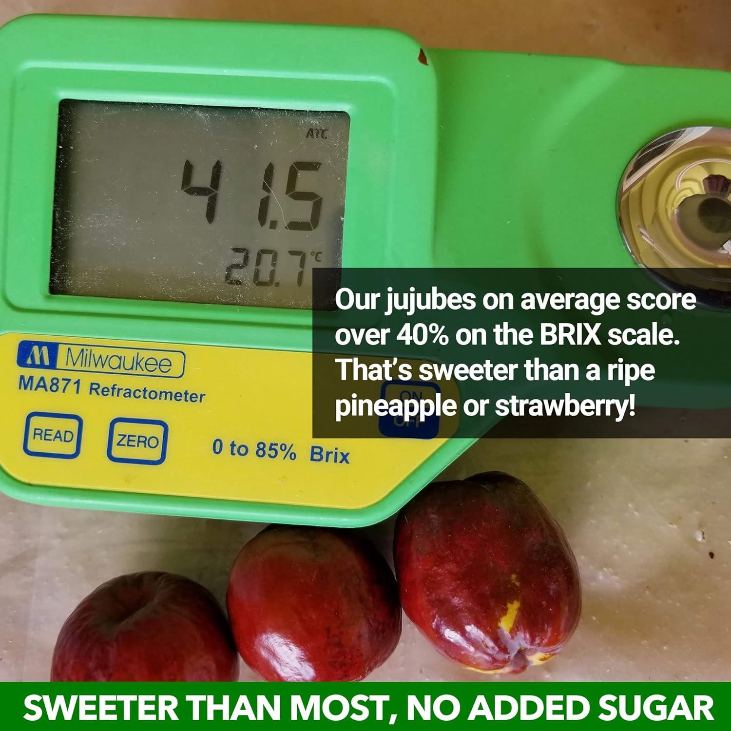 Jujubes Rojos Orgánicos JUJUME 170g - Superalimento Saludable