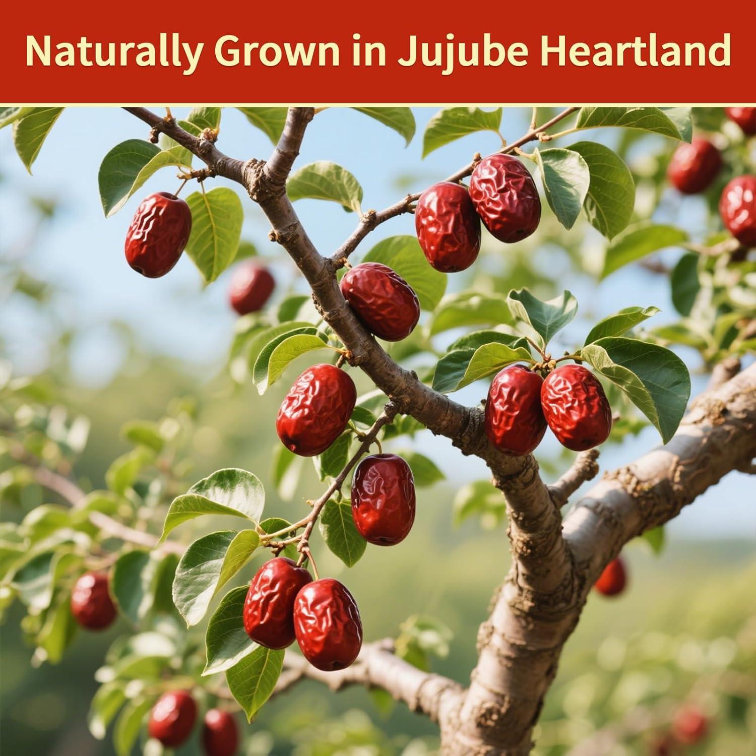 Dátiles Jujube Haomly Sin Hueso 420g - Dulces y Naturales