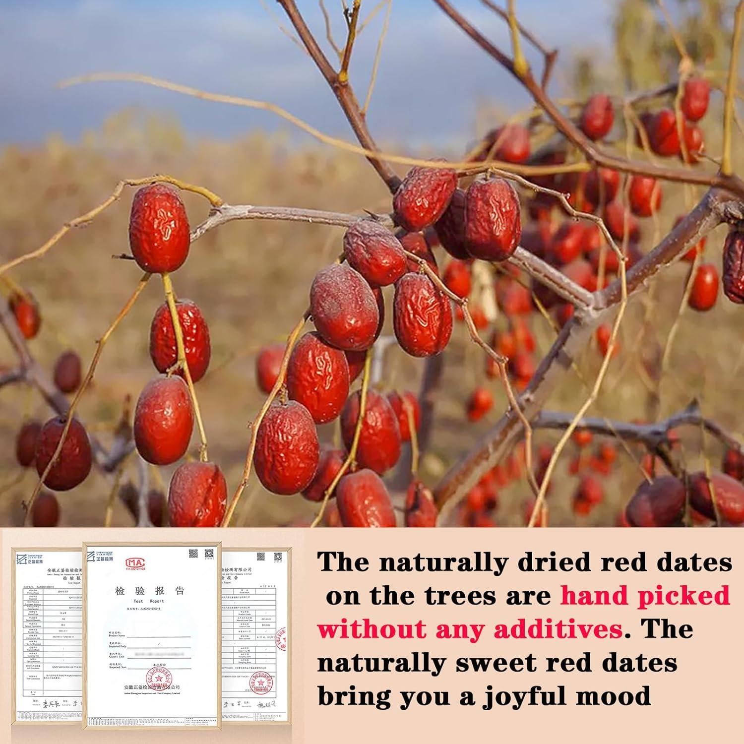 Dátil Rojo Seco Shengmingxi 500g Jujube Snack Saludable