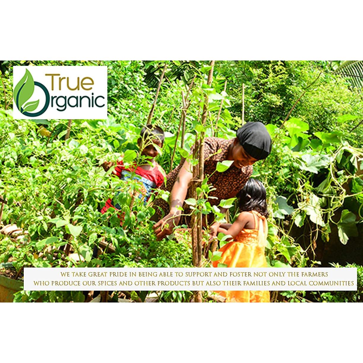 Canela de Ceilán Orgánica en Palitos 0.45 kg Verdadero