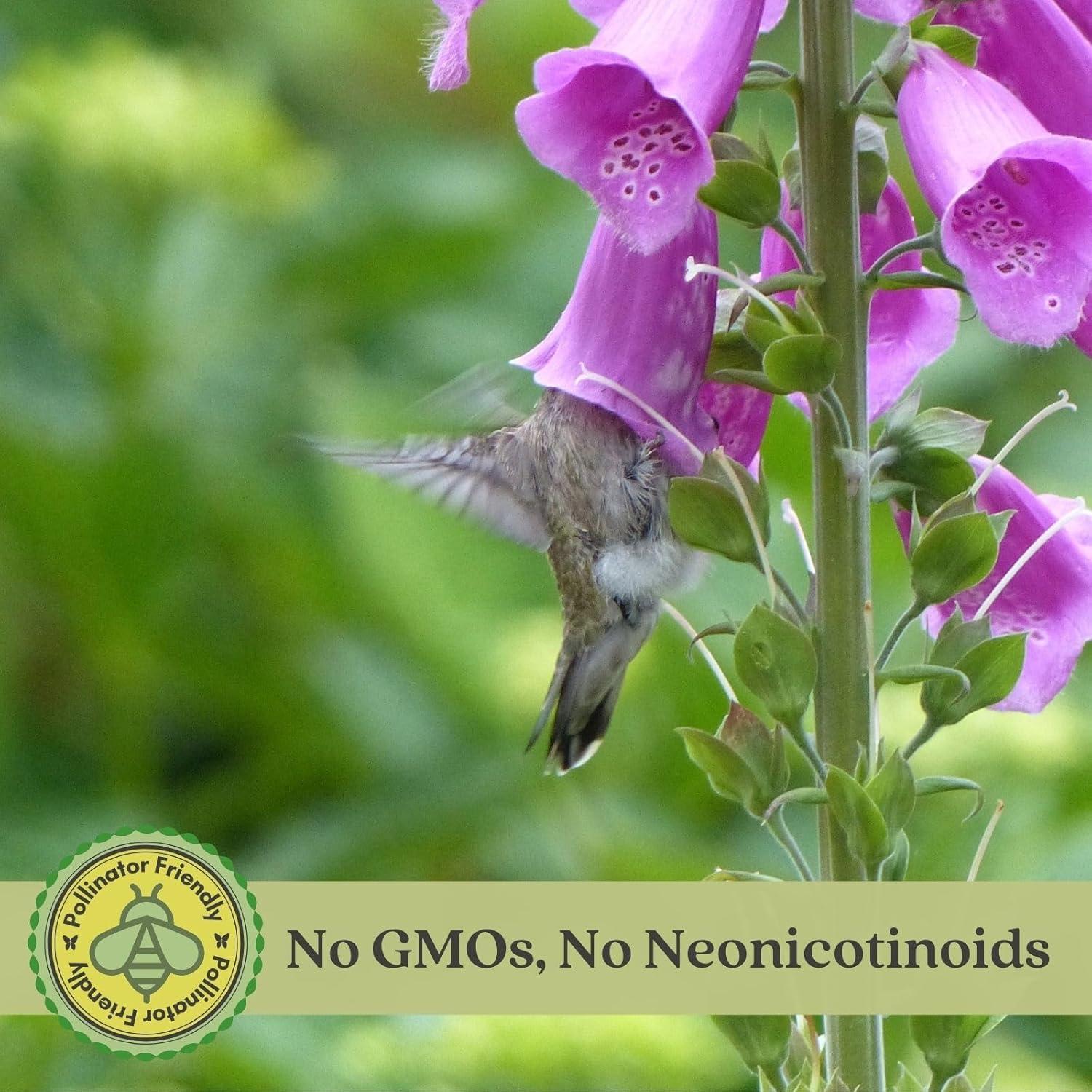 Plantas Vivas Digitalis purpurea Clovers Garden - 2 Unidades 10-20 cm