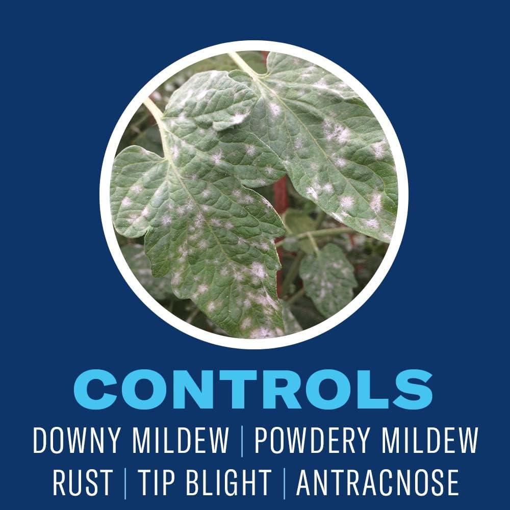 Aceite de Neem BioAdvanced 680 g - Insecticida y Fungicida