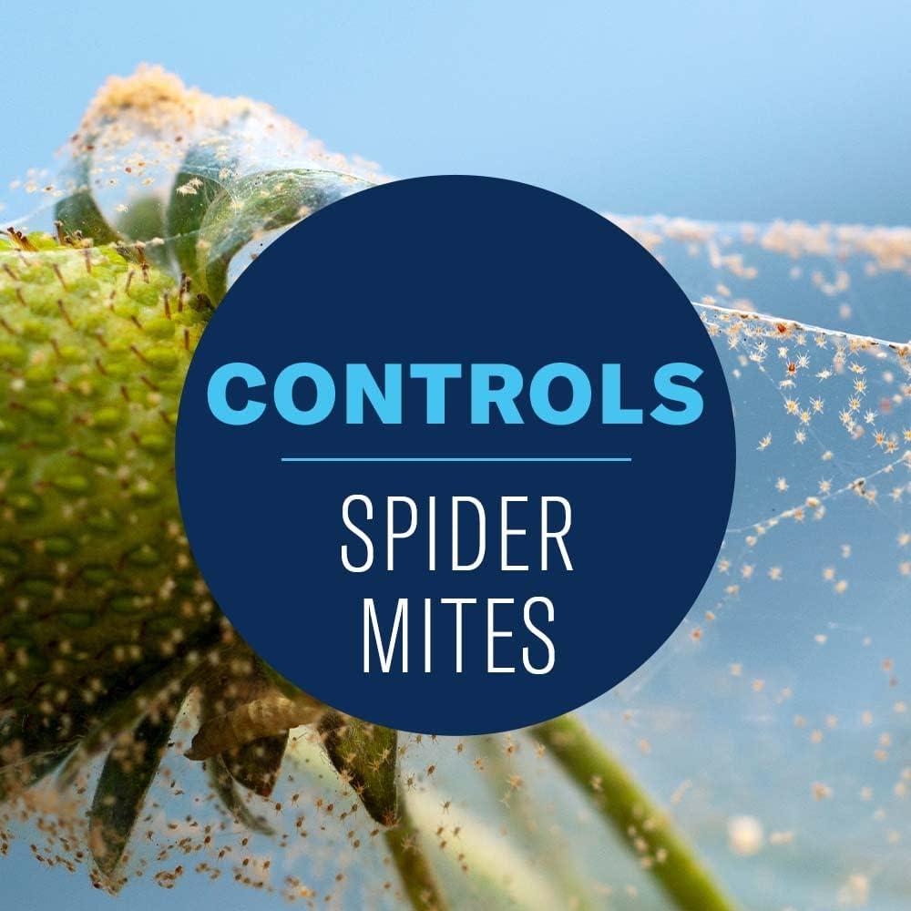 Aceite de Neem BioAdvanced 680 g - Insecticida y Fungicida