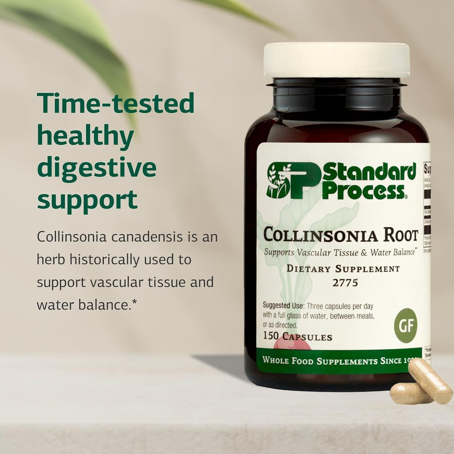Suplemento Digestivo Collinsonia Root Standard Process 150 Cápsulas