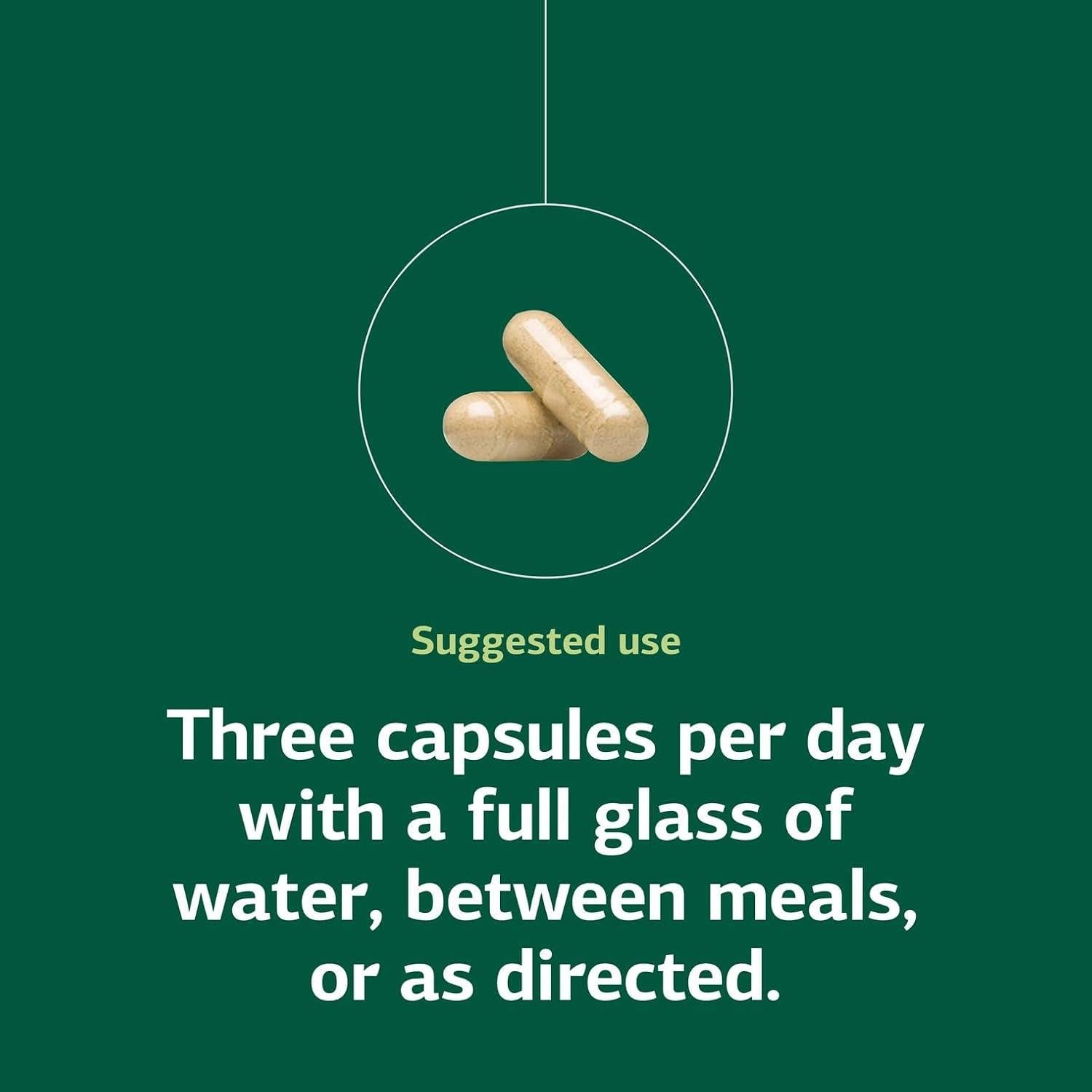 Suplemento Digestivo Collinsonia Root Standard Process 150 Cápsulas