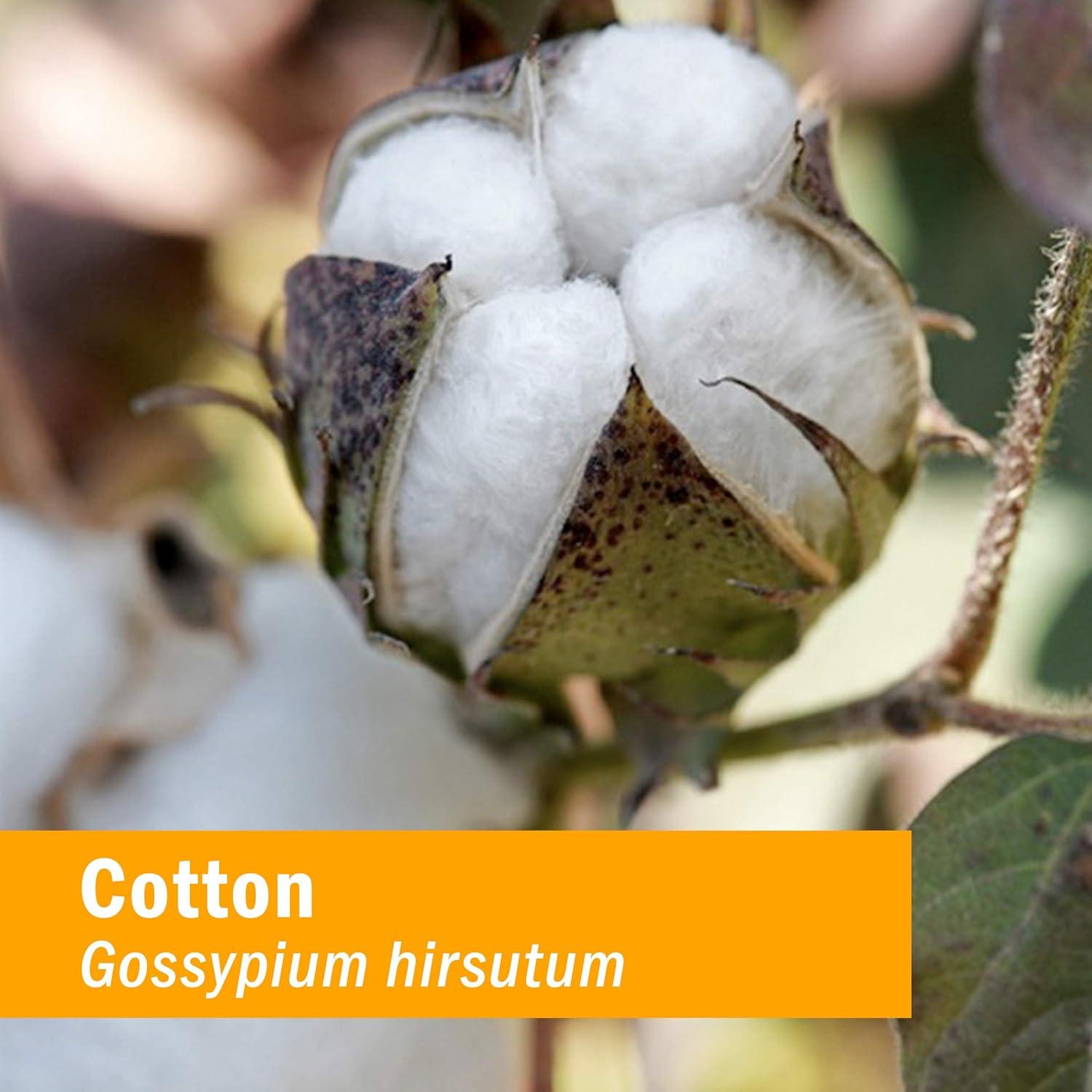 Extracto Líquido de Raíz de Algodón Orgánico Herb Pharm 30 ml