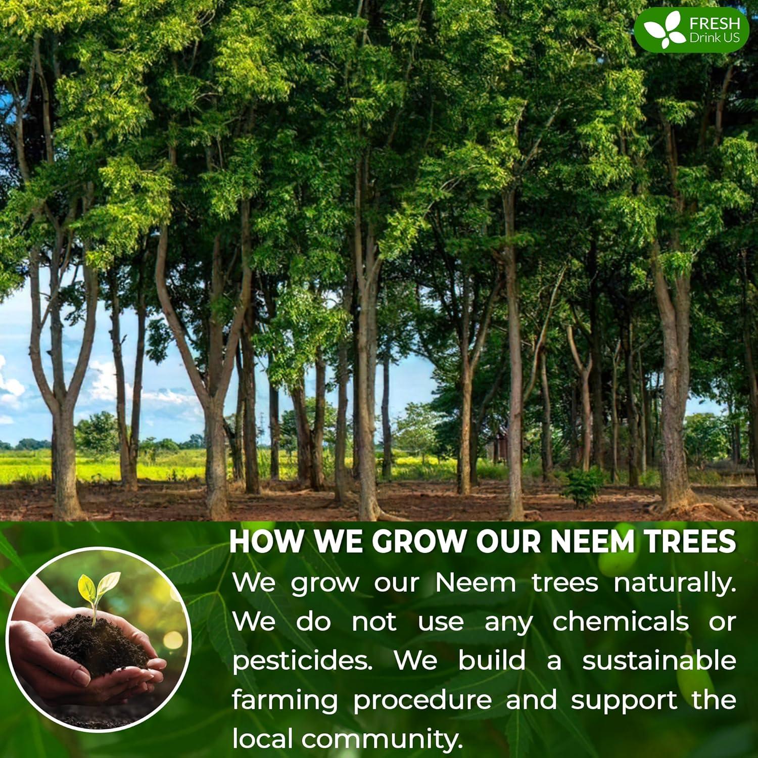 Té de Hoja de Neem FreshDrinkUS 100 Bolsitas 100% Natural