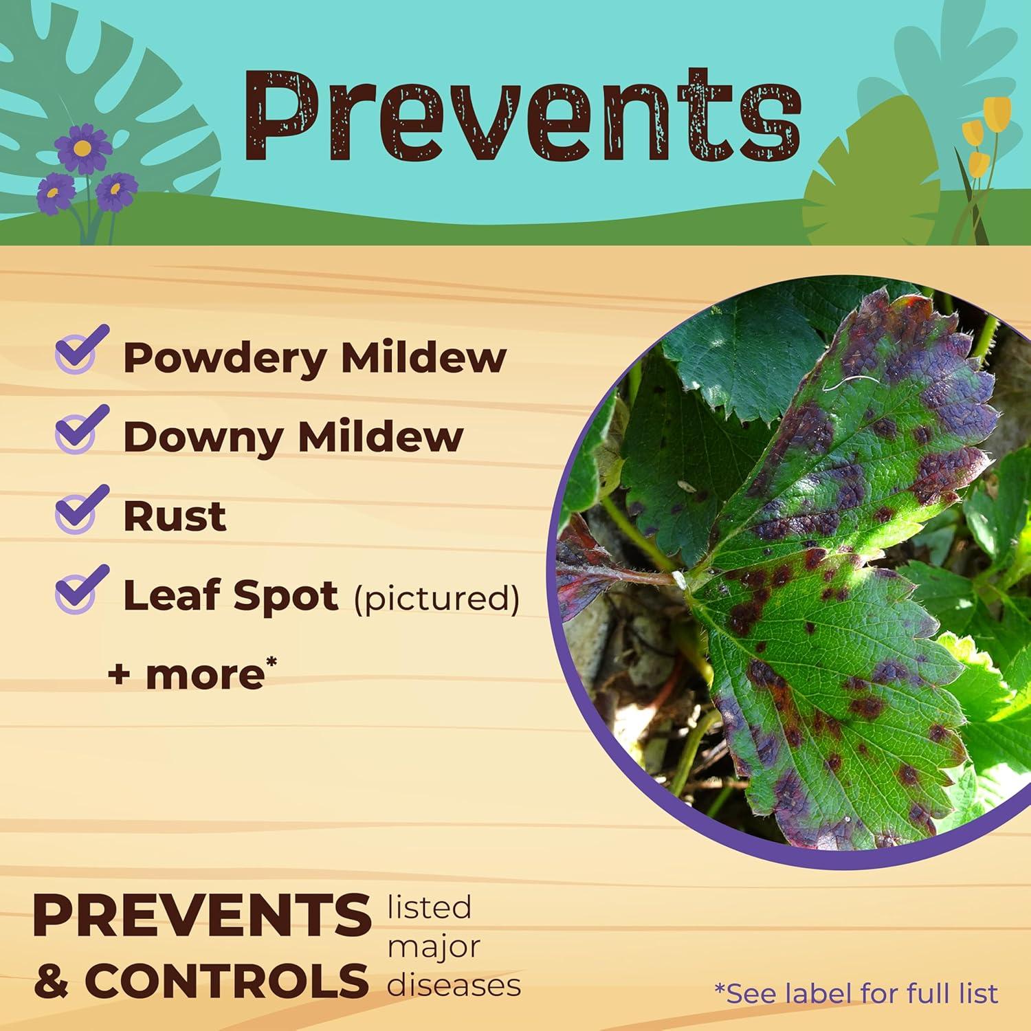 Insecticida y Fungicida Neem Max Captain Jack 0.54 kg Listo para Rociar