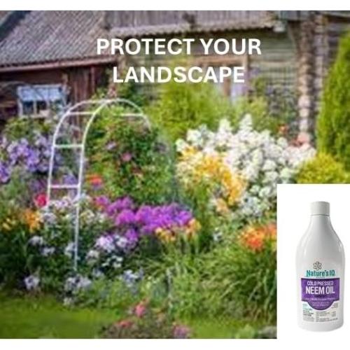 Concentrado de Aceite de Neem Nature's IQ 946ml Doble Paquete