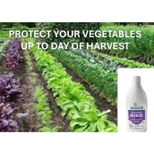 Fórmula Avanzada de Neem Oil Nature's IQ 4 en 1 79.49L