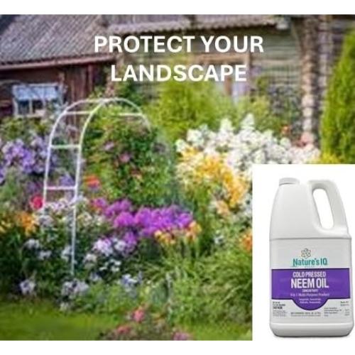 Fórmula Avanzada de Neem Oil Nature's IQ 3.52kg 4 en 1