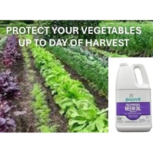 Fórmula Avanzada de Neem Oil Nature's IQ 3.52kg 4 en 1