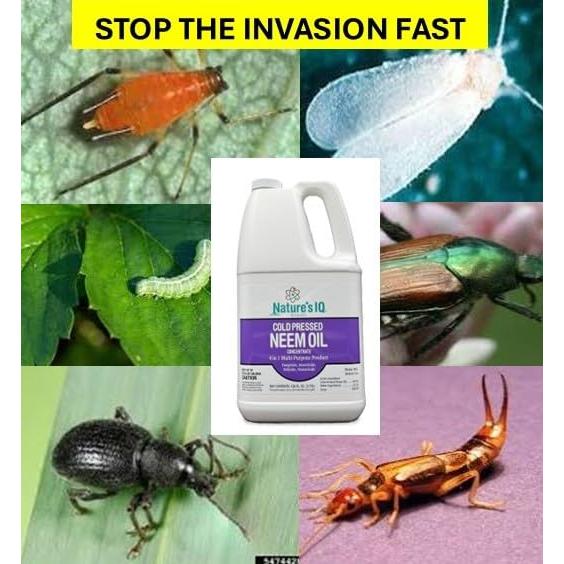 Fórmula Avanzada de Neem Oil Nature's IQ 3.52kg 4 en 1