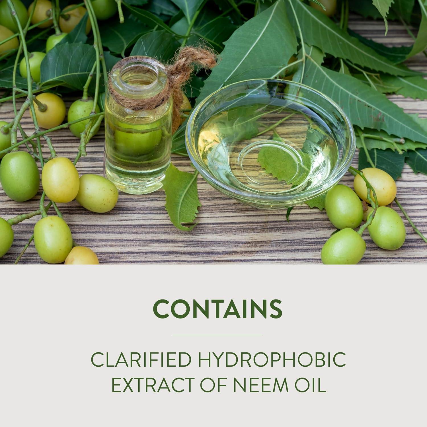 Garden Safe Aceite de Neem 6x10 Fl Oz - Insecticida Orgánico