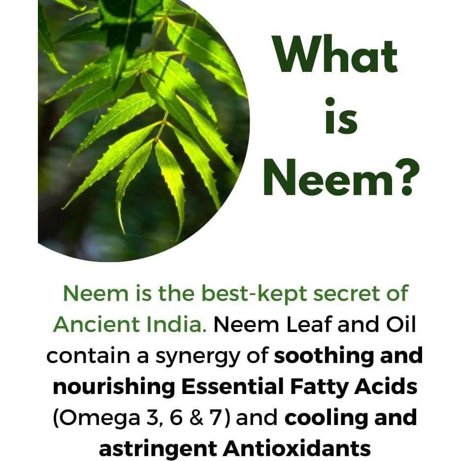 Cápsulas de Corteza de Neem Orgánico 400mg - 120 Unidades - Suplemento Vegano