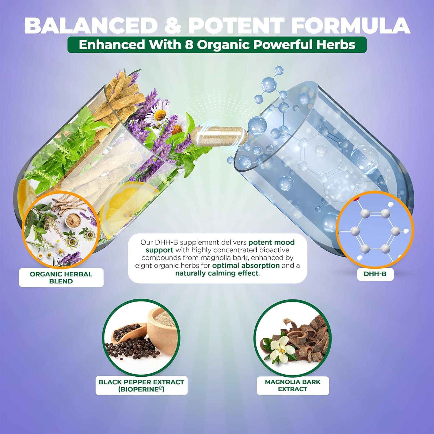Suplemento DHH-B NutraFitz 60 Cápsulas Veganas Antioxidante
