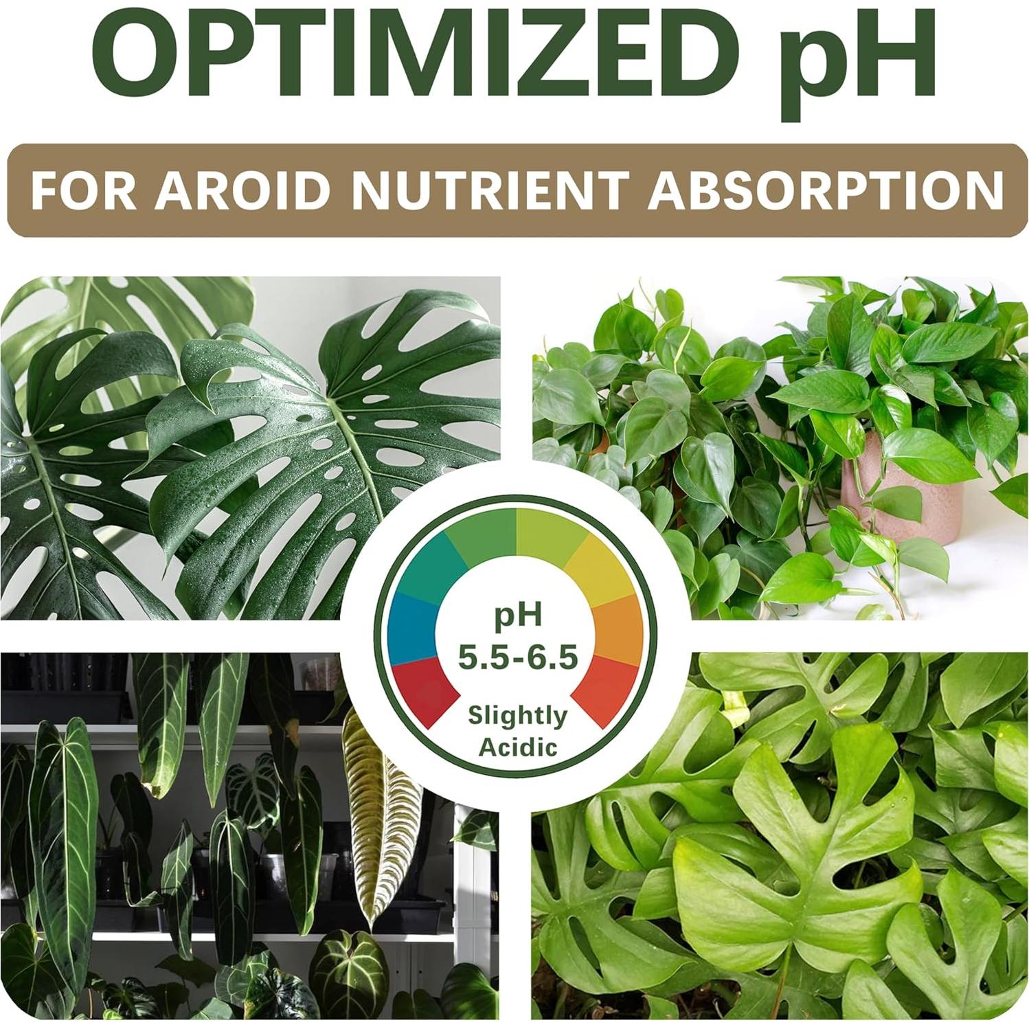 Mezcla de Suelo AROID Premium 2QT - Top-Tier Genetics - Orgánico