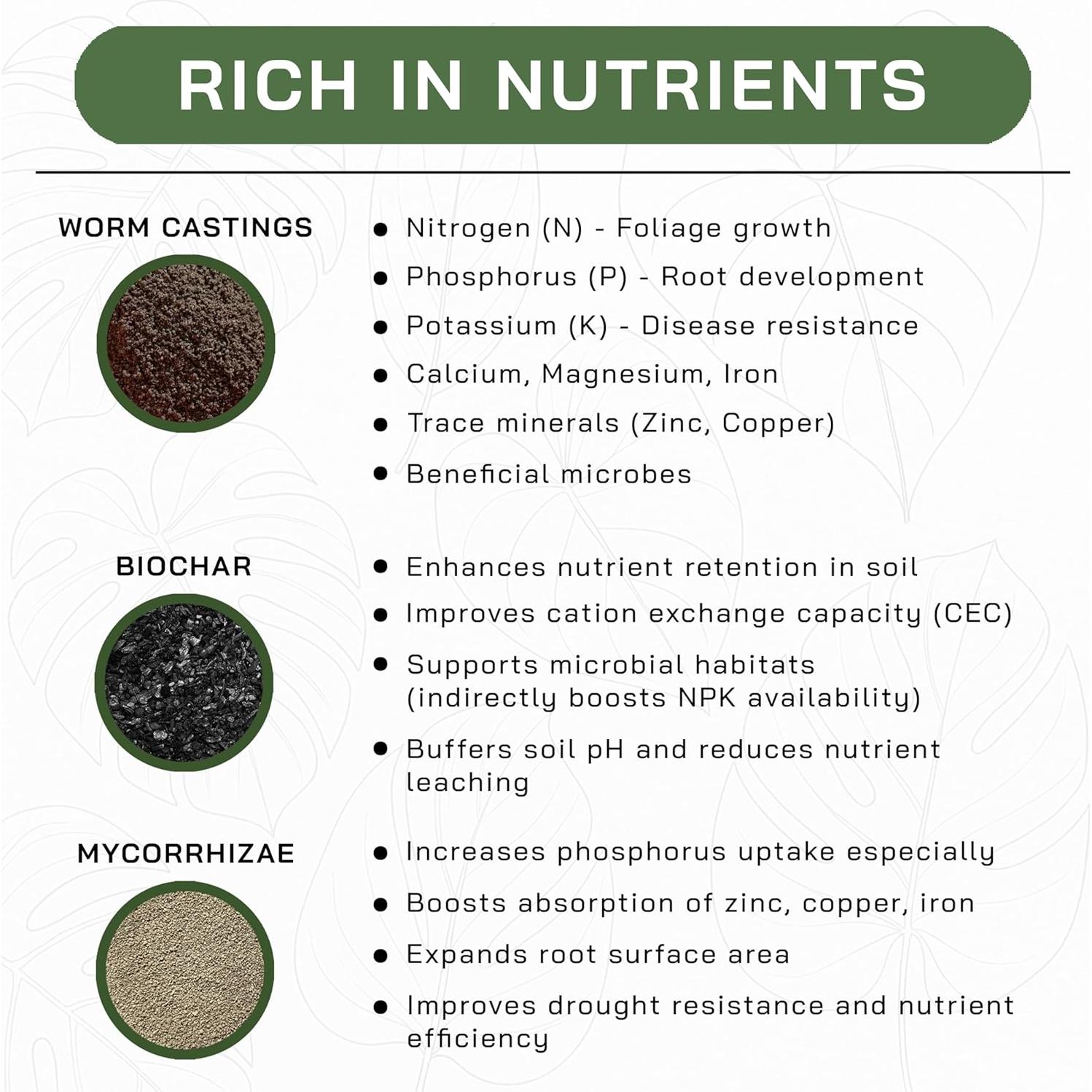 Mezcla de Suelo AROID Premium 2QT - Top-Tier Genetics - Orgánico